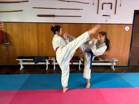 Træning i Viborg Karate Skole – billede 1